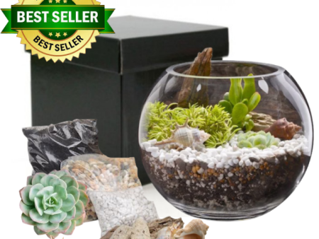 Seaside Terrarium Kit Fashion