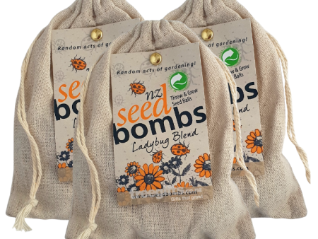 Seed Bombs - Ladybug Online Sale