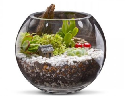 Woodlands Terrarium Kit Sale