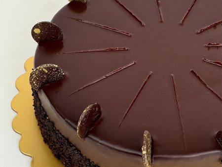 PAPA S CHOCOLATE MUDCAKE Online