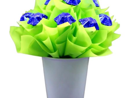 NRL Canberra Raiders Chocolate Bouquet Online now