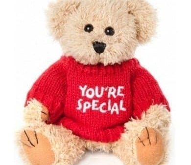 You re Special Teddy Bear on Sale