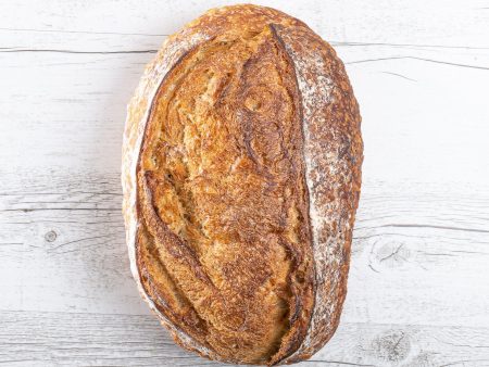 BRASSERIE BREAD SOURDOUGH BATARD Discount