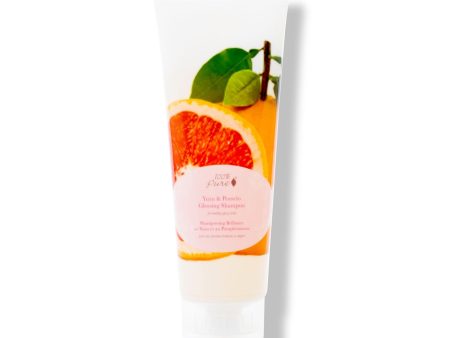 Yuzu and Pomelo Glossing Shampoo Hot on Sale