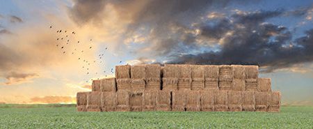 LD2527 - Haystack Harvest - 18x6 For Discount