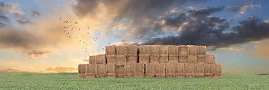 LD2527 - Haystack Harvest - 18x6 For Discount