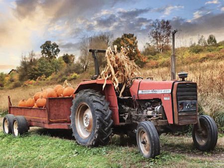 LD2555 - Pumpkin Harvest - 18x12 Online now