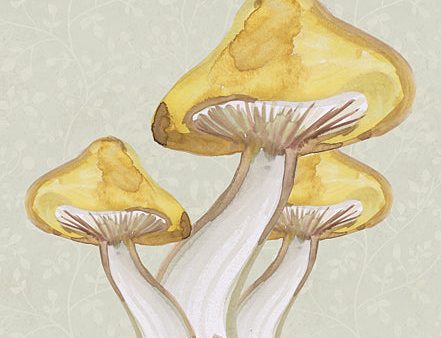 YND166 - Calming Mushrooms - 12x16 Online Sale