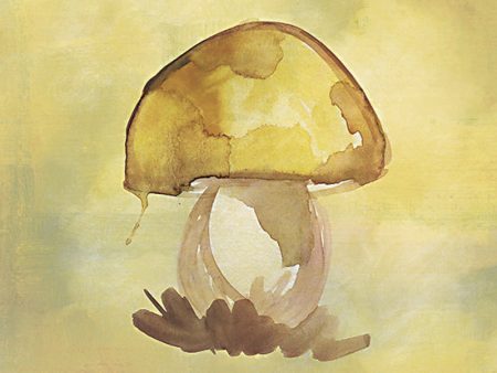 YND165 - Treasured Mushroom - 12x12 Online