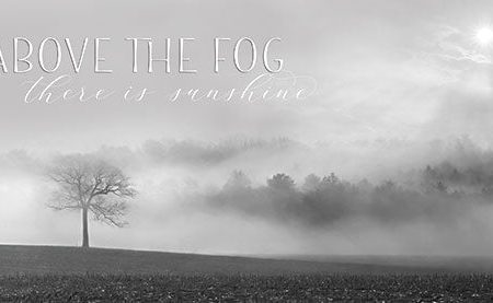 LD2356 - Above the Fog - 18x9 Hot on Sale